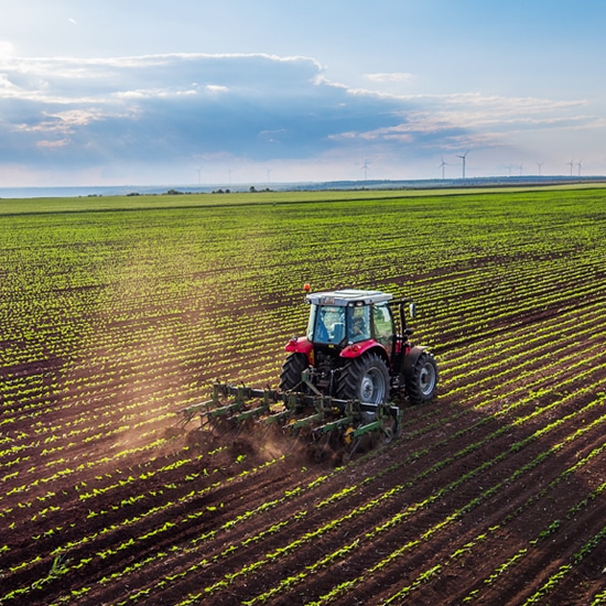 Le bio-ethanol, un combustible d'avenir.