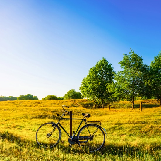 fermeture vacances été entreprise pur ethanol