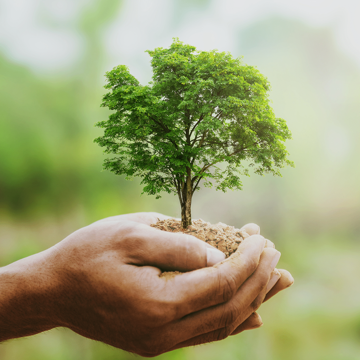 pur ethanol biocarburant écologique