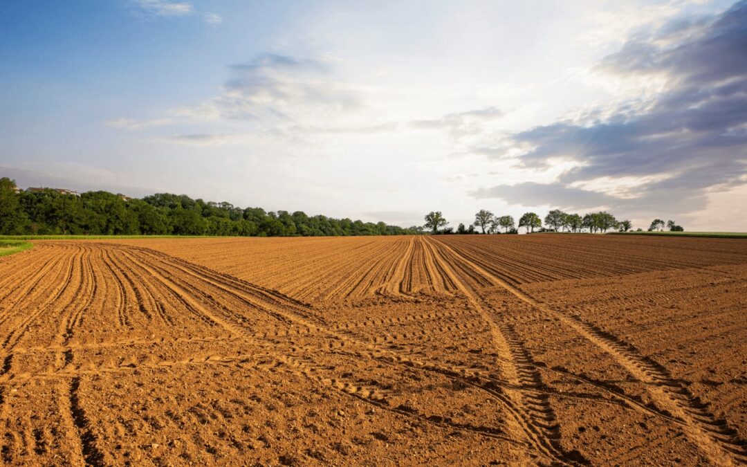 Le bioéthanol : un soutien concret à l’agriculture française